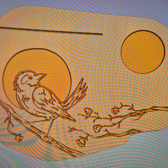 Moodplank Vogel, Medium