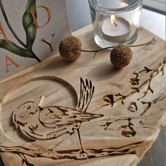 Moodplank Vogel, Medium