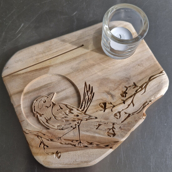 Moodplank Vogel, Medium