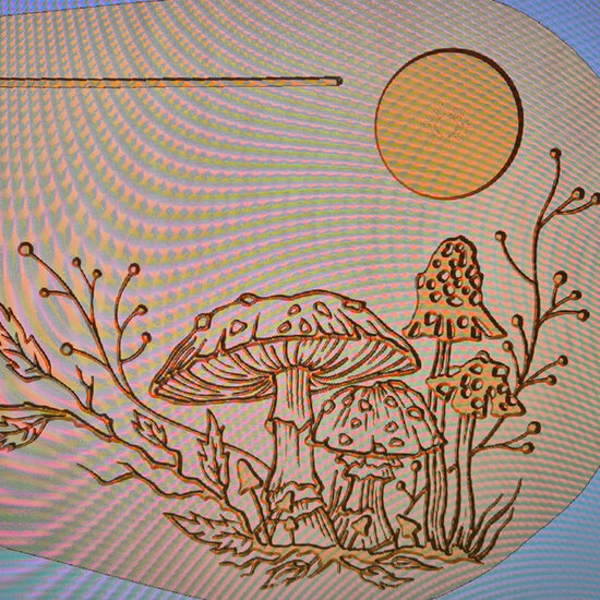 Moodplank Paddenstoelen, Large