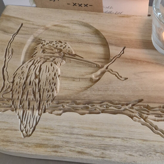 Moodplank Ijsvogel, Medium