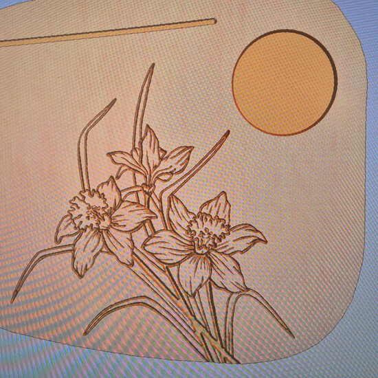 Moodplank Narcissen, Medium