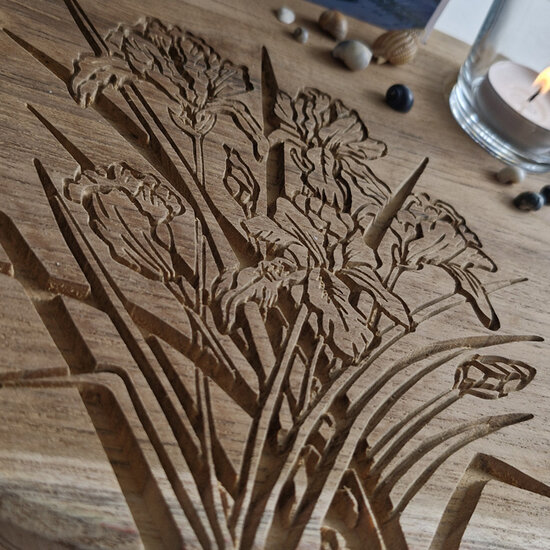 Moodplank IRISSEN, Medium