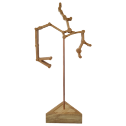 Boogschutter / Sagittarius